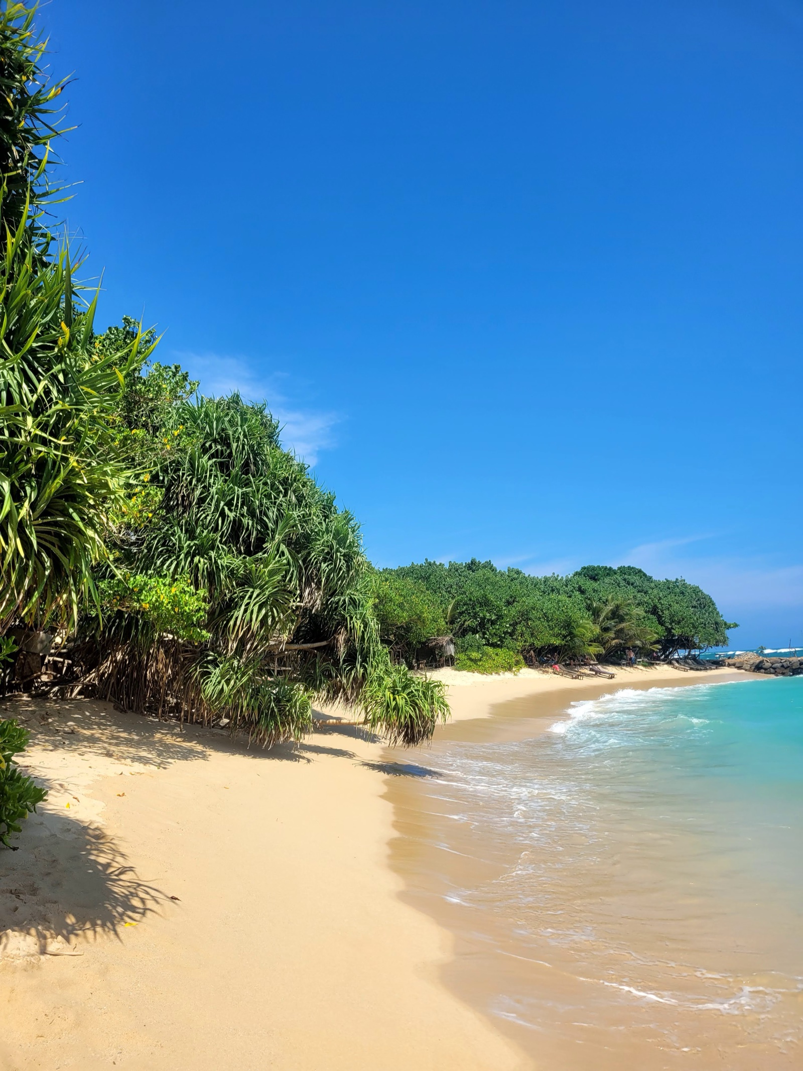 Tropikalna plaża na Sri Lance