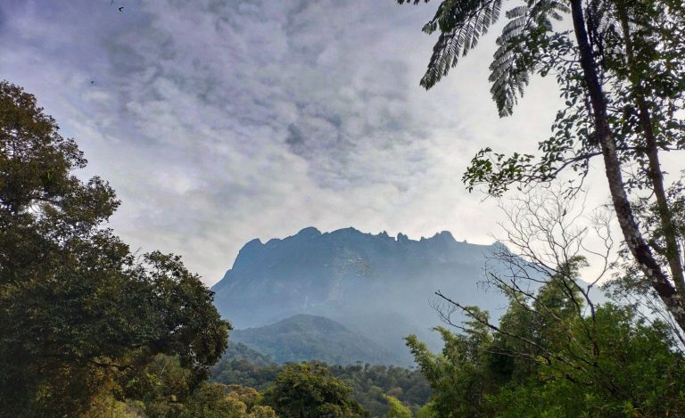 Wyprawa na Borneo – Kinabalu